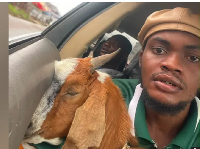 Promise Okoro has yet to name the animal but says it loves eating fried rice