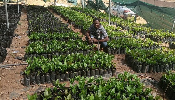 Chief Executive Officer of Aspassion Farms Ltd, Robben Asare