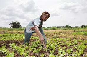 Farmers at work | File photo