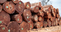 Timber trafficking takes place when loggers harvest and transport timber without complying