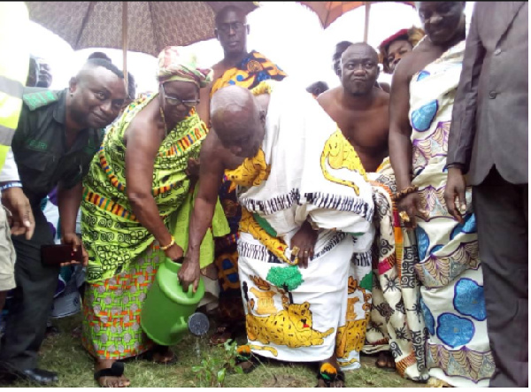 The Okyenhene nursing a tree