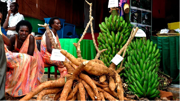 Rwanda's Consumer Price Index, the main gauge of inflation, increased by 11.9 per cent year on year