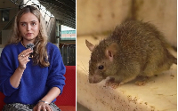 Two cases of hantavirus have been confirmed so far