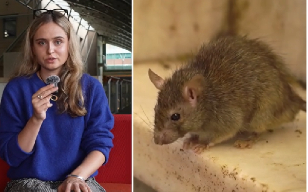 Two cases of hantavirus have been confirmed so far