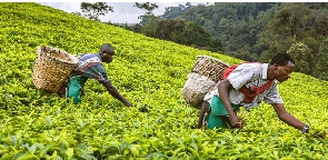 Tanzanian farmers