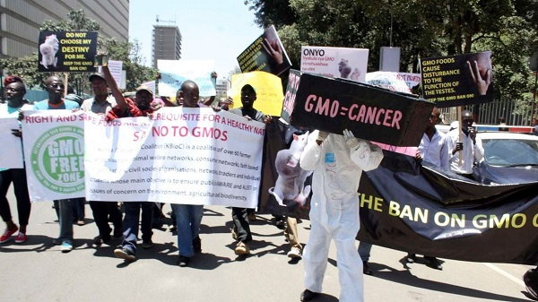 Demonstrators protesting in 2015 against planned introduction of GMO foods in Kenya
