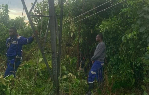 Some ECG workers are seen in a bush