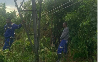 Some ECG workers are seen in a bush