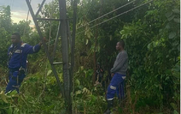 Some ECG workers are seen in a bush
