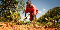 File photo of farmer at work