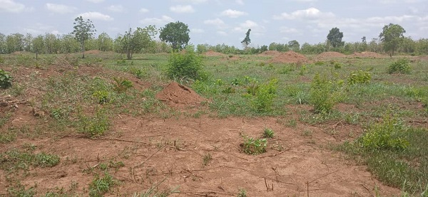 This deterioration is driven by a combination of natural factors