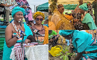 Pognaa Salma Chaana Abdul-Razak called for urgent action to protect Ghana's shea trees
