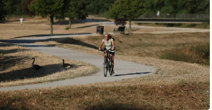 A person cycles through parched parkland in Birmingham, Britain, on August 13, 2026