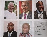 The 5 most favoured personalities in the NPP, according to the survey