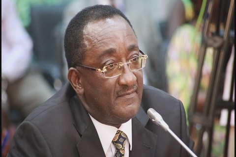 The Minister of Agriculture Dr. Owusu Afriyie Akoto has resurrected the debate over fall armyworms