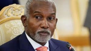 We already have over 230 million people,says Yusuf Tuggar