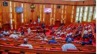 File foto of Nigerian Senate