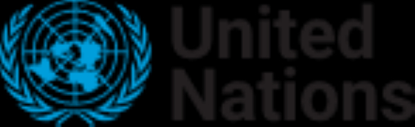 The United Nations (UN)