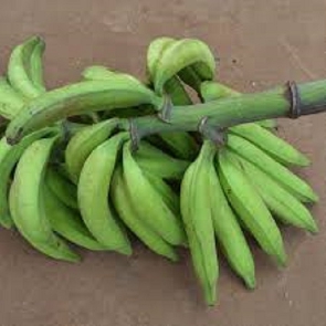 Bunch Of Plantains