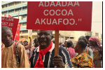 Cocoa farmers picket at COCOBOD over fallen prices
