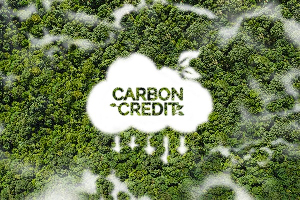 Ghana has transferred 11,733 tonnes of carbon credits to Switzerland