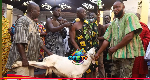 Watch as Akuapem Traditional Council slaughters sheep to suspend Okuapehemaa