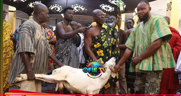 Watch as Akuapem Traditional Council slaughters sheep to suspend Okuapehemaa