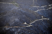 A road runs through a charred forest after a fire in Hammam Melouane, Algeria