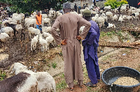 Men watch sheep at a Sallah market in Abuja