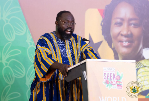 Director of the Presidential Initiatives in Agriculture and Agribusiness (PIAA), Dr Peter Otokunor