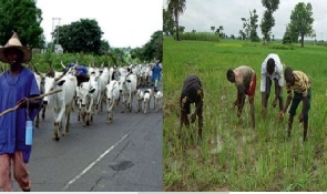 Herdsmen And Farmers