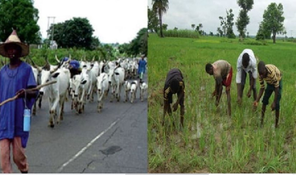 Natives who fled Utsua Daa and Baafada villages are yet to return to their homes