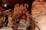 Cocoa stocks from main harvest pile up in Ivory Coast warehouses