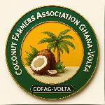 Volta Region to host 2026 International Coconut Festival in Ho