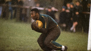 Pele on a number of occasions played as a goalkeeper