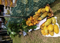 A file photo of Cocoa which was on display at Farmers day