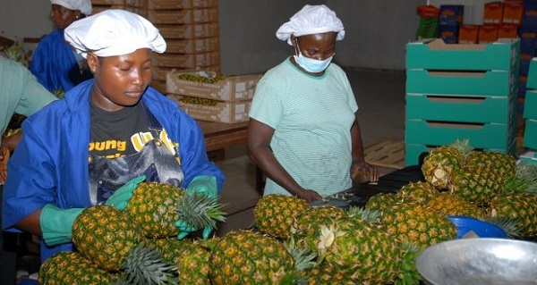 Larger companies, with reputations to protect, are more likely to comply with safety standards