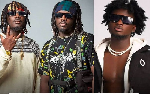 'We should calm down and create another animal song' – Kuami Eugene to DopeNation