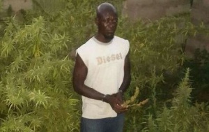 Abdul Razak Ousman  Marijuana Farmer