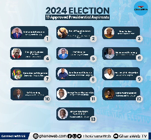 The Electoral Commission has approved 13 candidates for the 2024 presidential election