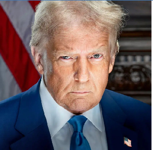 Di  official portrait of Donald Trump