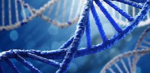 The era of genealogical DNA testing was launched around the year 2000