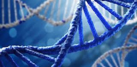 The era of genealogical DNA testing was launched around the year 2000