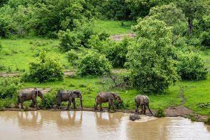 Bia National Park is one of the tourist attraction to explore in the Western North Region