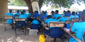 Students are seen studying under a tree