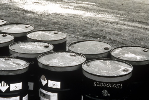 Farmers need to use rabbit urine as natural pesticide – Dr Larbi