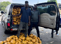 The two suspects drove the vehicle fully packed with compressed yellow-wrapped parcels