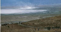 The Ngongoro Conservation Area is a protected zone