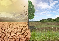 File photo of climate change impact on nature