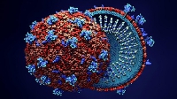Nemesis will surely catch up with inventors of coronavirus, no matter how long it takes